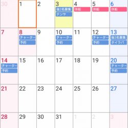 遊漁船 家入 釣果