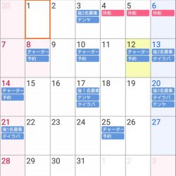 遊漁船 家入 釣果