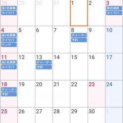 遊漁船 家入 釣果