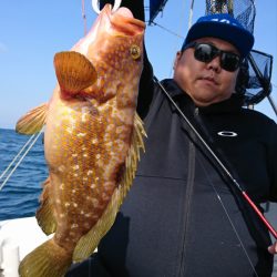 遊漁船 家入 釣果