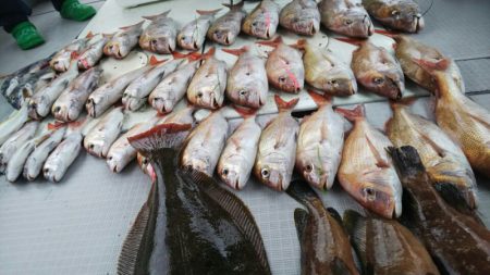 タイラバ遊漁船 ワンピース 釣果