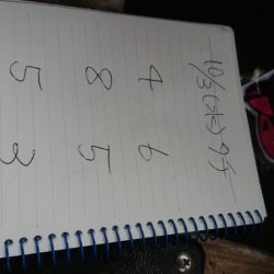 金沢八景鴨下丸 釣果