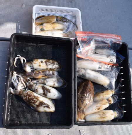 渡船屋たにぐち 釣果