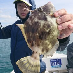 遊漁船 家入 釣果