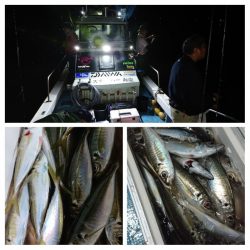 シースナイパー海龍 釣果