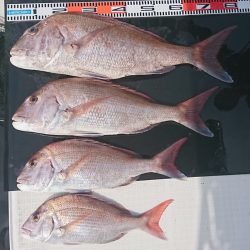 遊漁船 家入 釣果