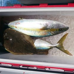 海龍丸（石川） 釣果