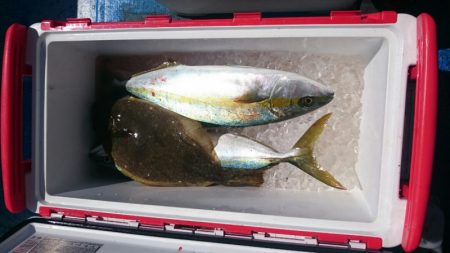 海龍丸（石川） 釣果