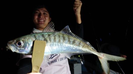 シースナイパー海龍 釣果