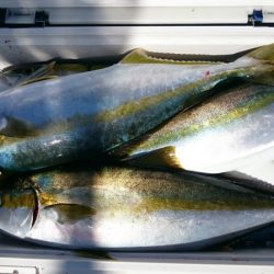 海龍丸（石川） 釣果