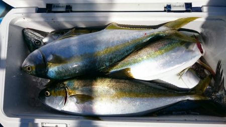 海龍丸（石川） 釣果