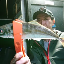 シースナイパー海龍 釣果