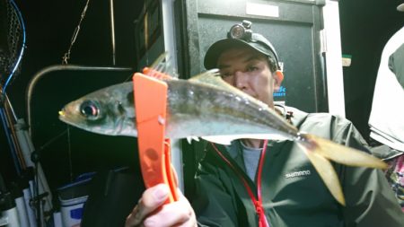 シースナイパー海龍 釣果