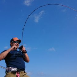 だて丸 釣果