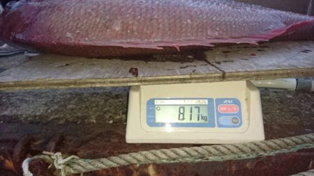 ARCADIAⅡ (アルカディアⅡ) 釣果