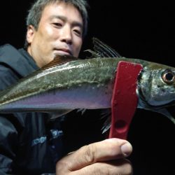 シースナイパー海龍 釣果