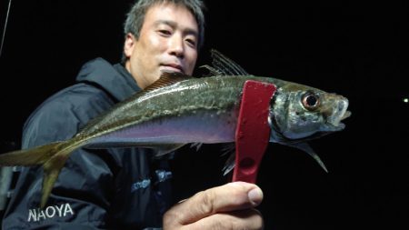 シースナイパー海龍 釣果