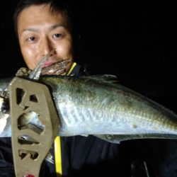 シースナイパー海龍 釣果
