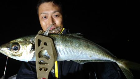 シースナイパー海龍 釣果