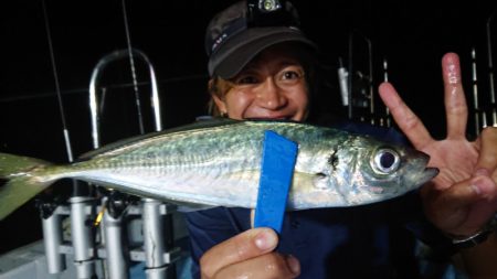 シースナイパー海龍 釣果