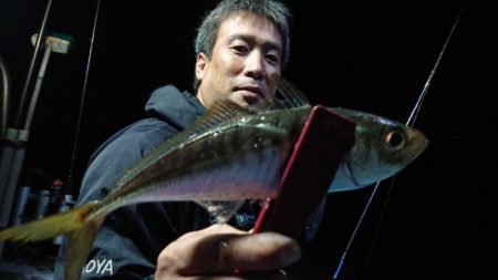 シースナイパー海龍 釣果