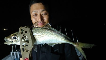 シースナイパー海龍 釣果