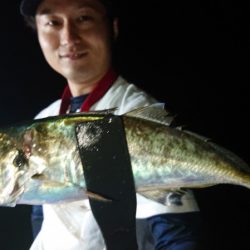 シースナイパー海龍 釣果