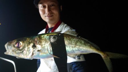 シースナイパー海龍 釣果