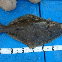 海龍丸（石川） 釣果