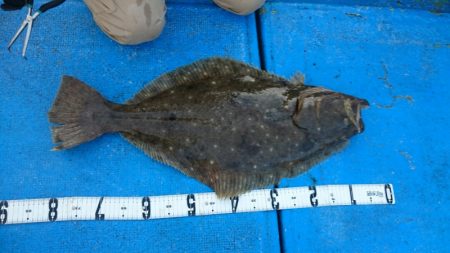 海龍丸（石川） 釣果