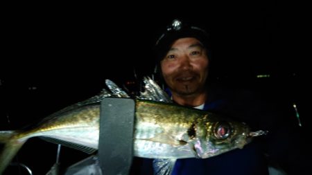 シースナイパー海龍 釣果