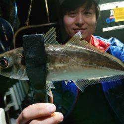 シースナイパー海龍 釣果