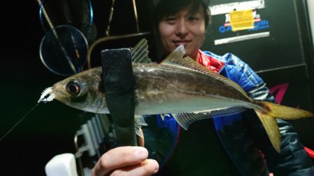 シースナイパー海龍 釣果