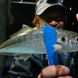 シースナイパー海龍 釣果