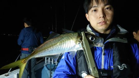 シースナイパー海龍 釣果