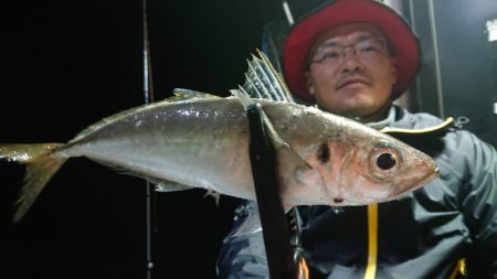 シースナイパー海龍 釣果