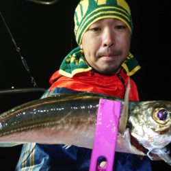 シースナイパー海龍 釣果