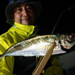 シースナイパー海龍 釣果