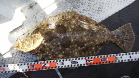 第二龍勢丸 釣果