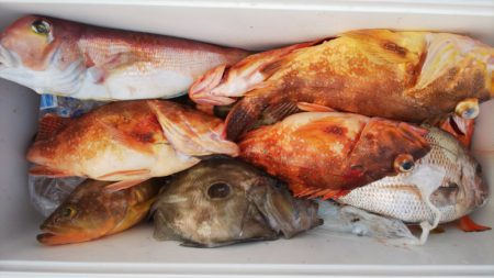 第二龍勢丸 釣果