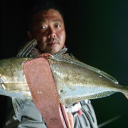 シースナイパー海龍 釣果