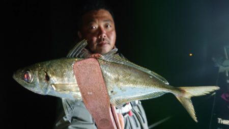 シースナイパー海龍 釣果