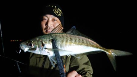 シースナイパー海龍 釣果