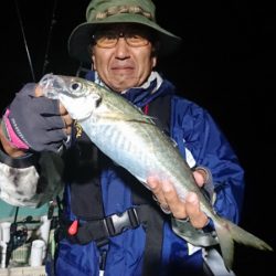 和栄丸 釣果