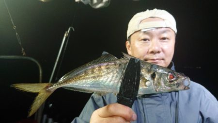 シースナイパー海龍 釣果