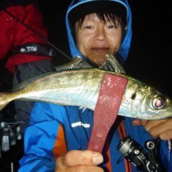 シースナイパー海龍 釣果