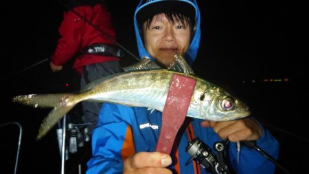 シースナイパー海龍 釣果