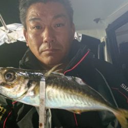 シースナイパー海龍 釣果