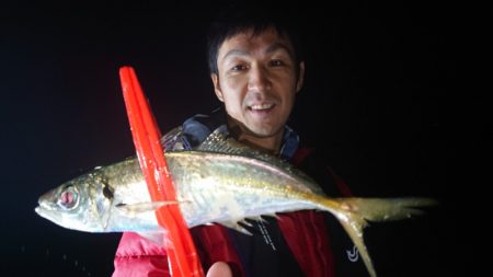 シースナイパー海龍 釣果