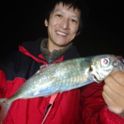 シースナイパー海龍 釣果